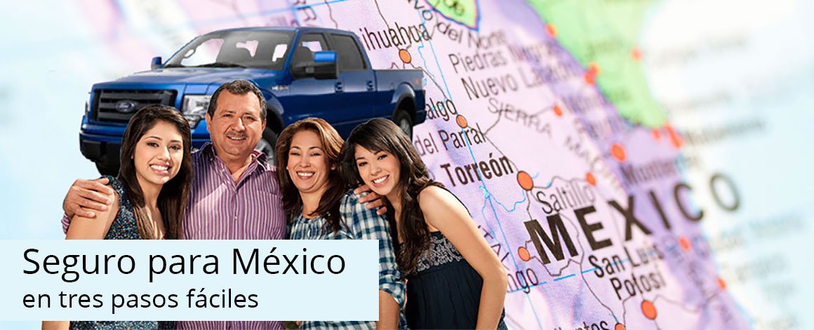 Seguros En Linea Bci
