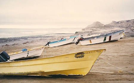 Sea urchin boats El Rosario Baja