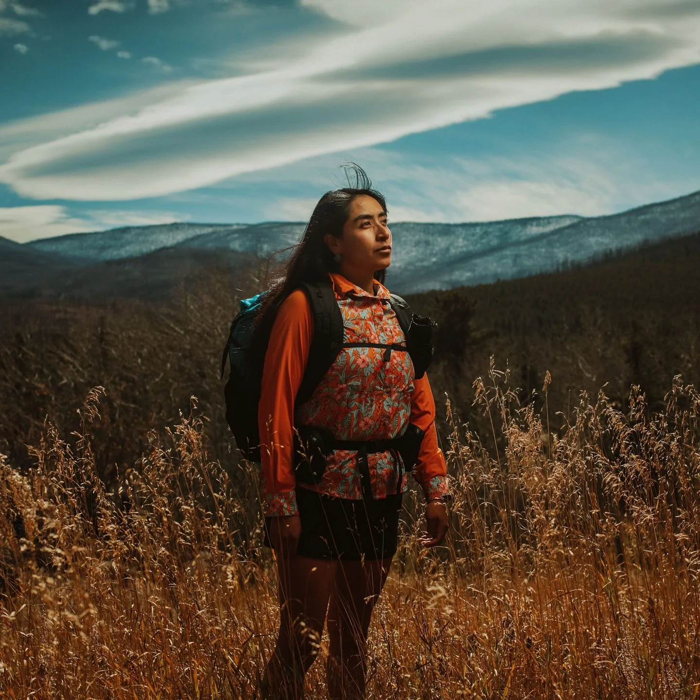 Zelzin standing in a wheat field baja