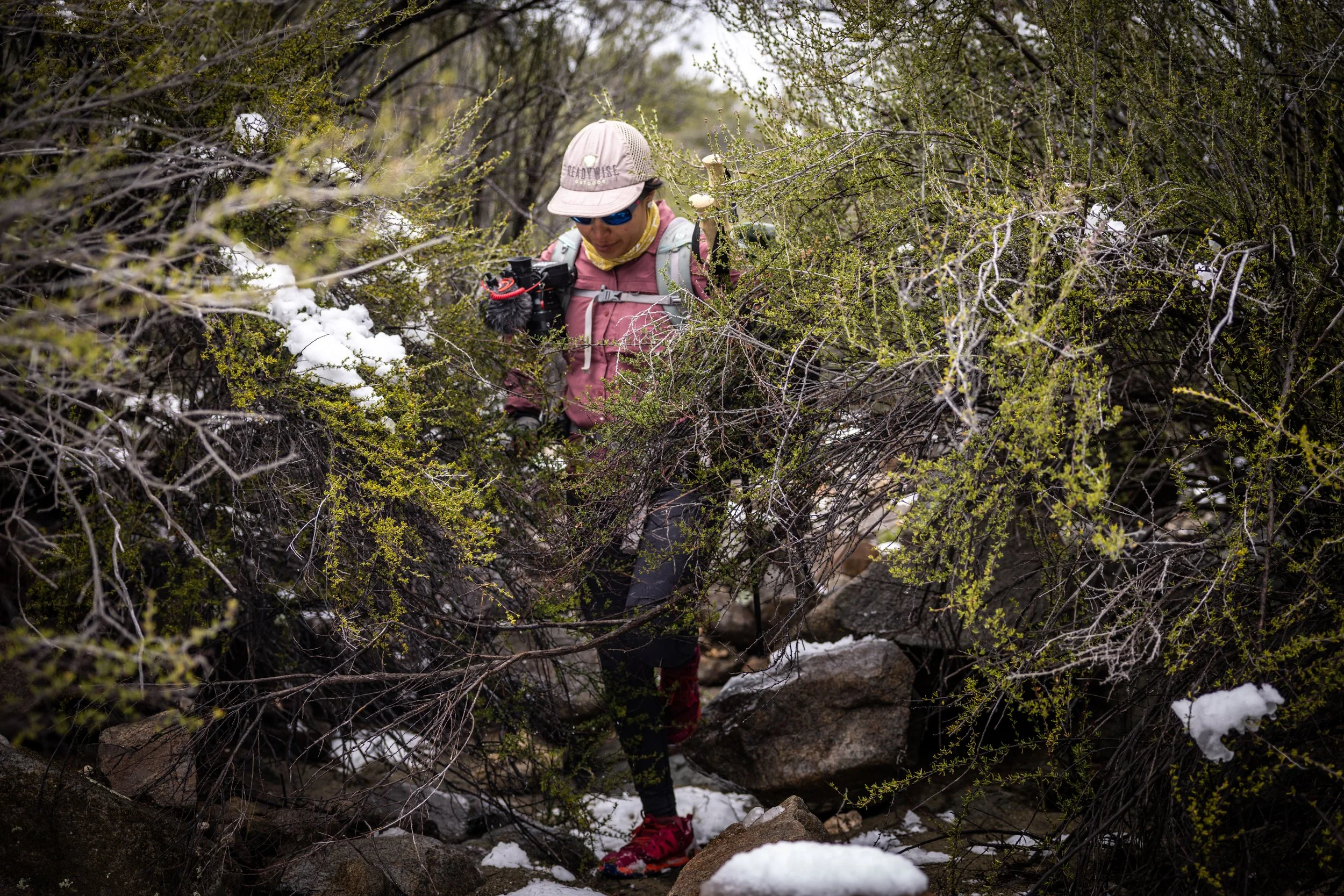 Zelzin Hiking in Cacti in Baja