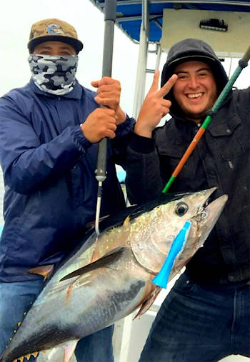 WEEKLY FISH REPORT: A big week for white seabass and yellowtail