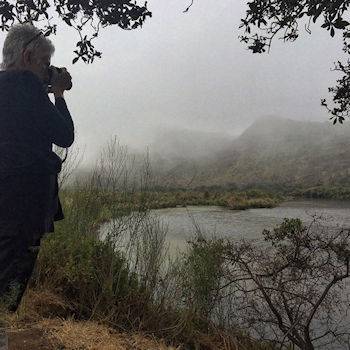 Birding Baja