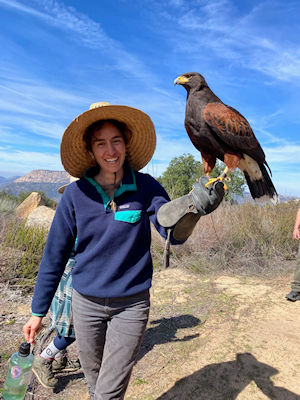 Birding Baja