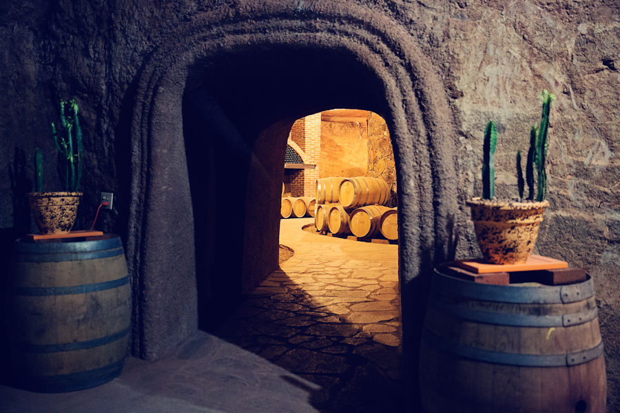 Casta de Vinos