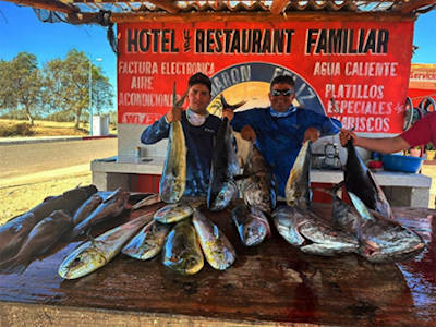 Best time for Offshore Fishing In Magdalena Bay - Free Quote Available