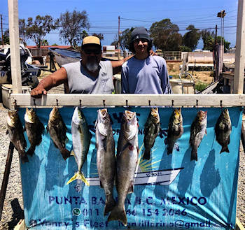 Catch Baja's Pargo Fish