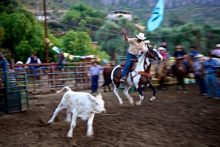 Fiesta La Mision Baja