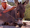 A Lifetime of Baja Adventures with Graham Mackintosh