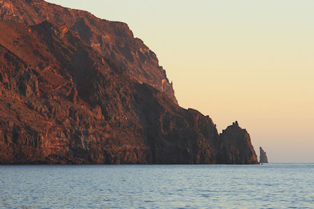 Guadalupe Island Baja