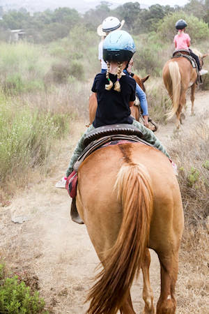 La Mision Horses Baja