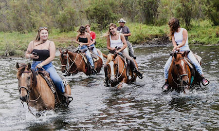 La Mision Horses Baja