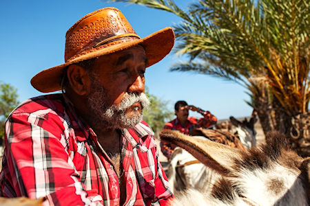 La Recua Film Baja Mules