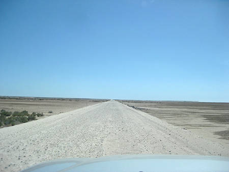 Laguna San Ignacio Baja