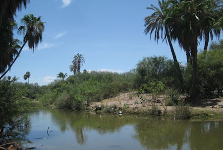 Mission San Luis Gonzaga Baja