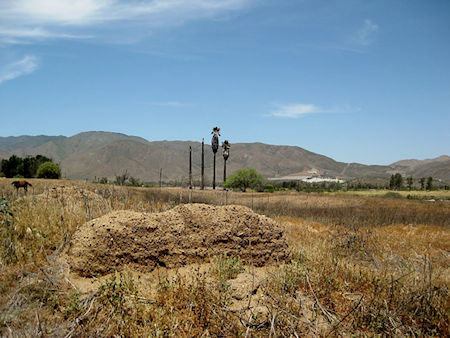 SMission Santo Tomas Baja