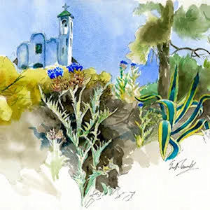 Scott Kennedy Baja Artist