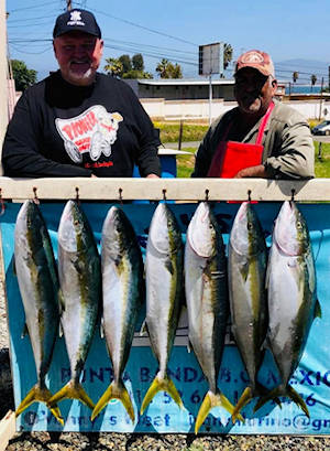 Baja Fishing Report - Summer 2023