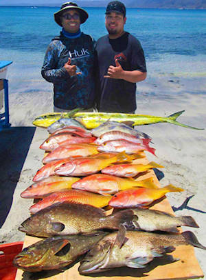 Baja raiders sport fishing  More than 30 years of experience!!!