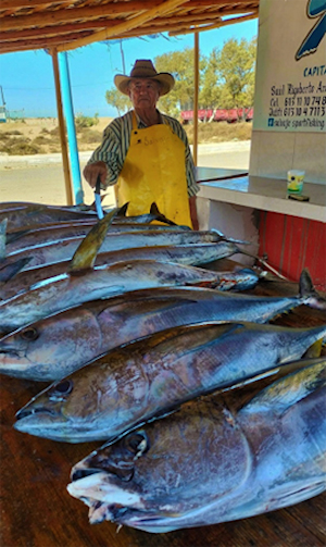 Baja Fishing