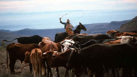 Corazon Vaquero Baja