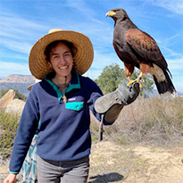 Birding In Baja