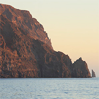 Guadalupe Island