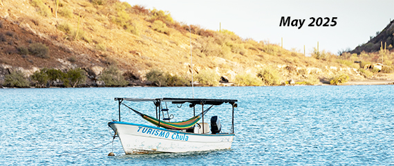 Baja Bound Mexican Insurance