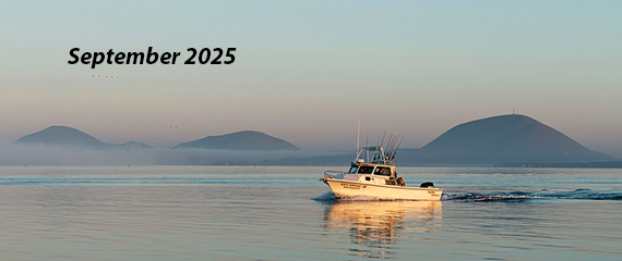 Baja Bound Mexican Insurance